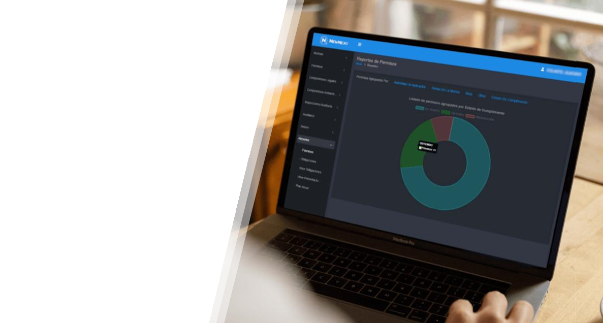 Pantalla del Sistema Newnexo Permisos