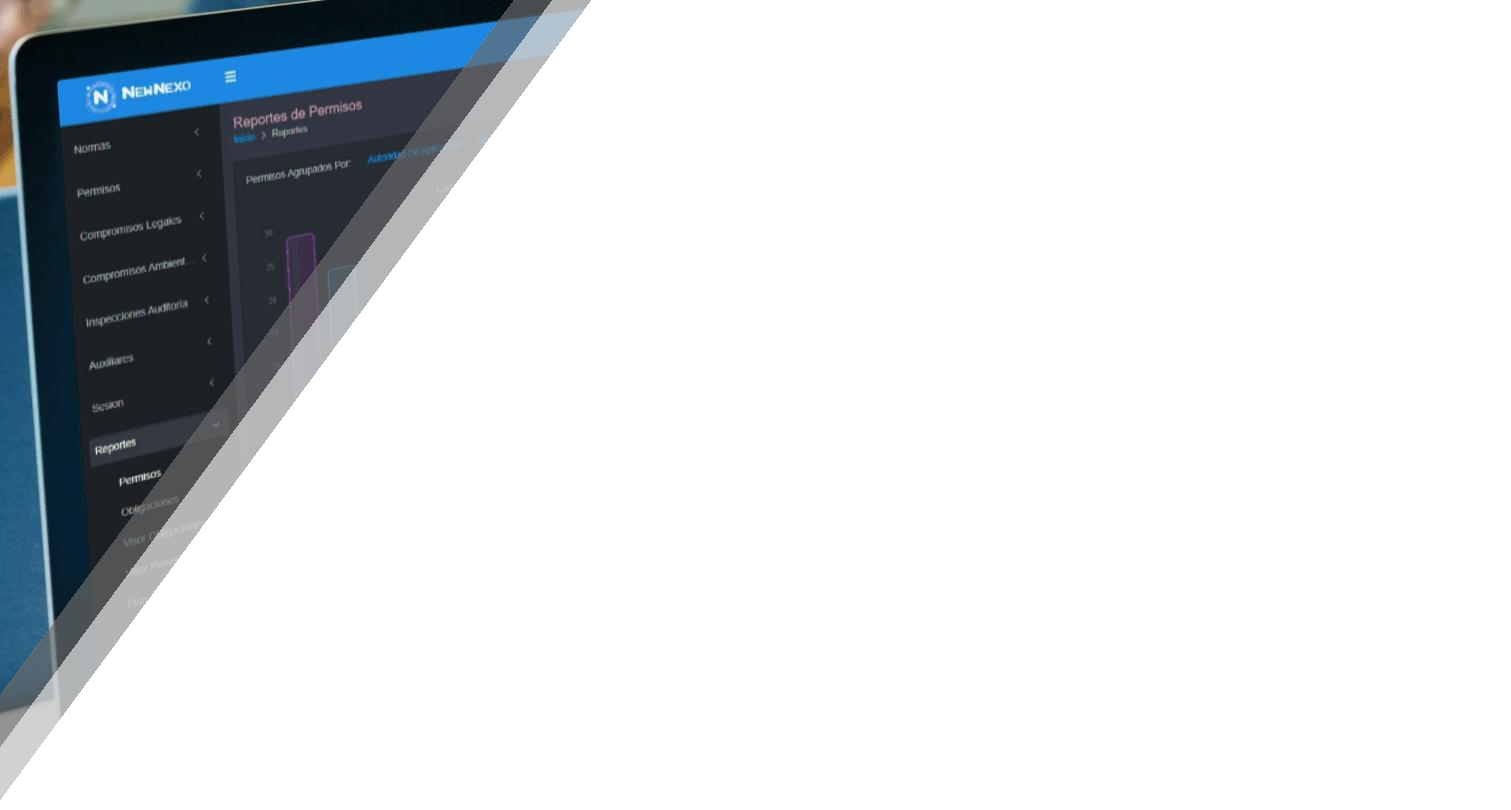 Pantalla del Sistema Newnexo Permisos